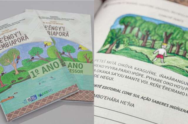 Colet&acirc;nea in&eacute;dita fortalece alfabetiza&ccedil;&atilde;o em l&iacute;ngua materna ind&iacute;gena em MS