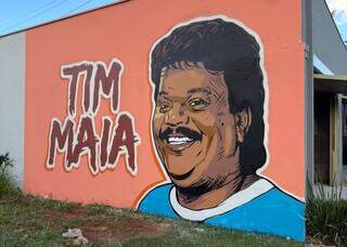 De Jo&atilde;o Carreiro a Rita Lee, grafiteiro espalha cores e m&uacute;sica pelos bairros