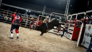 Den&uacute;ncia aponta poss&iacute;vel desvio de verba da educa&ccedil;&atilde;o em rodeio em Itapor&atilde;