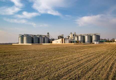 Venda da soja chega a 32,5% e produtores adotam cautela diante de incertezas