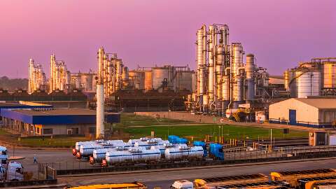 IA desenvolvida em MS p&otilde;e empresa de biocombust&iacute;vel entre finalistas em inova&ccedil;&atilde;o