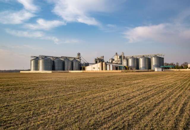 Venda da soja chega a 32,5% e produtores adotam cautela diante de incertezas