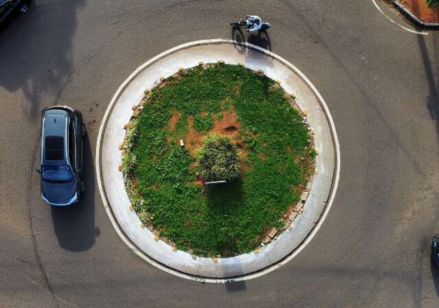 Nova pol&iacute;tica quer corrigir mapa desigual de &aacute;rvores nas cidades