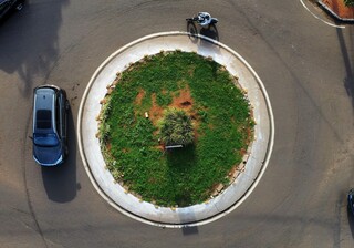 Nova pol&iacute;tica quer corrigir mapa desigual de &aacute;rvores nas cidades