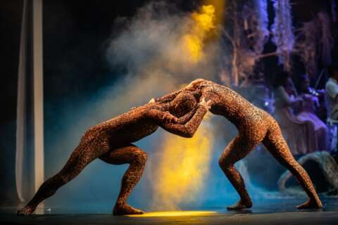 Cia de Dan&ccedil;a do Pantanal comemora 9 anos com espet&aacute;culos gratuitos