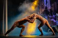 Cia de Dança do Pantanal comemora 9 anos com espetáculos gratuitos