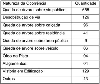 Todos os dias, duas árvores caem na Capital, mostra relatório Todos os dias, duas árvores caem na Capital, mostra relatório