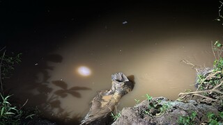 Pescador escorrega de tronco de &aacute;rvore e se afoga no Rio Jatob&aacute; em Rochedo