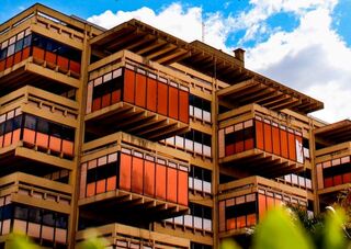 Manual gratuito ensina como organizar exposições de arte em MS