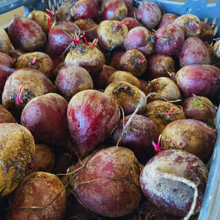 Manga puxa queda de preços e beterraba lidera alta no hortifrúti da semana Manga puxa queda de preços e beterraba lidera alta no hortifrúti da semana