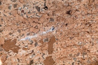 Rapaz foi baleado a 100 metros de onde irm&atilde; foi espancada at&eacute; a morte h&aacute; 1 ano