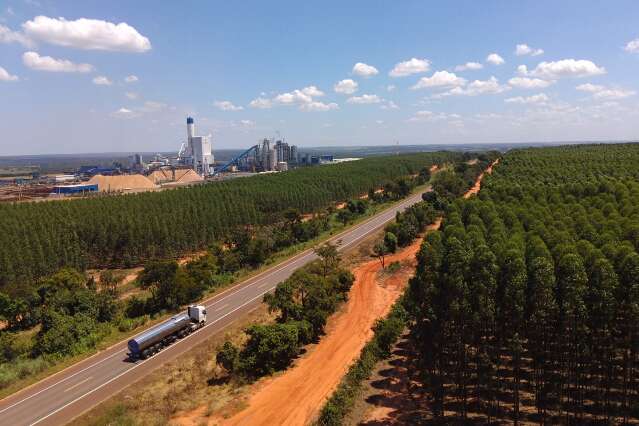 Diversifica&ccedil;&atilde;o do agroneg&oacute;cio impulsiona procura por qualifica&ccedil;&atilde;o t&eacute;cnica em MS