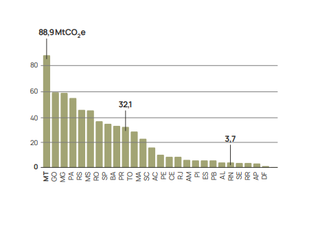 MS est&aacute; entre maiores emissores de CO₂ e pecu&aacute;ria lidera, aponta relat&oacute;rio