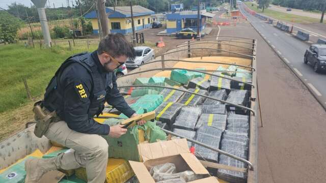 Casal que saiu de MS com crian&ccedil;a de 9 anos &eacute; preso com carga recorde de maconha