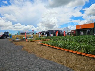 TecnoAgro abre em Chapad&atilde;o e refor&ccedil;a MS como vitrine de tecnologia no campo
