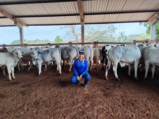 Diversifica&ccedil;&atilde;o do agroneg&oacute;cio impulsiona procura por qualifica&ccedil;&atilde;o t&eacute;cnica em MS