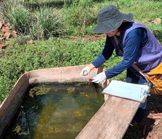 MS chega &agrave; 4&ordf; morte de ind&iacute;genas da mesma reserva por chikungunya em 2026
