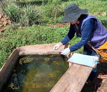 MS chega &agrave; 4&ordf; morte de ind&iacute;genas da mesma reserva por chikungunya em 2026