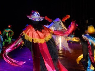 Acervo de 4 mil itens sobre folclore de MS n&atilde;o tem lugar para ficar 