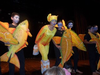 Acervo de 4 mil itens sobre folclore de MS n&atilde;o tem lugar para ficar 