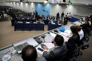 Setor do leite comemora avan&ccedil;o de projeto que incentiva consumo local