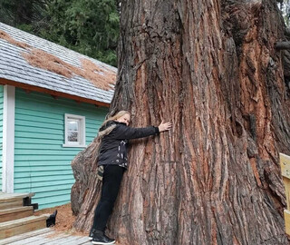 Professora ensinou por 40 anos e morreu no dia do anivers&aacute;rio 