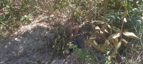 Opera&ccedil;&atilde;o prende suspeitos de matar jovem e enterrar corpo de cabe&ccedil;a para baixo