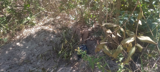 Opera&ccedil;&atilde;o prende suspeitos de matar jovem e enterrar corpo de cabe&ccedil;a para baixo