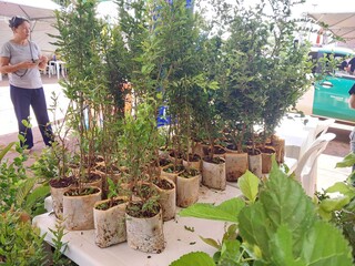 Em Drive Thru, curso ensina como fazer artesanato com recicl&aacute;veis como jeans