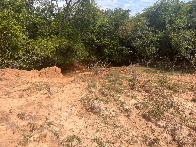 Seca perde for&ccedil;a em Mato Grosso do Sul e &aacute;rea afetada cai para 35%