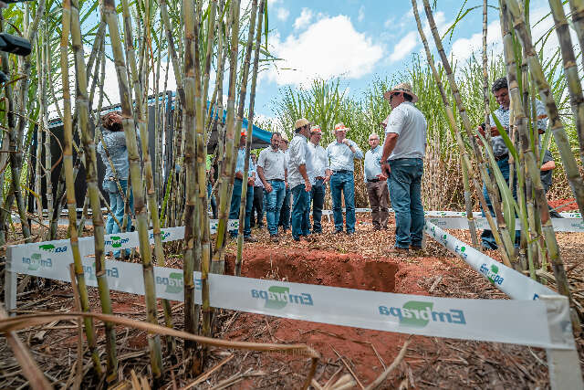 Expocanas transforma canavial em vitrine de neg&oacute;cios e inova&ccedil;&atilde;o em MS