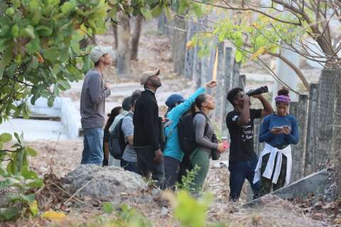 Da sala de aula &agrave; COP15: a trajet&oacute;ria que transformou olhar em conserva&ccedil;&atilde;o
