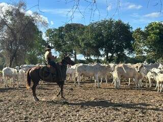Aquidauana vive boom no turismo e se livra da depend&ecirc;ncia da pecu&aacute;ria 