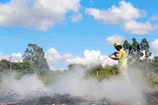 Ap&oacute;s quase 6 horas de bloqueio, sem-terra liberam BR-163