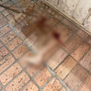 &ldquo;Se apresente&rdquo;, pede m&atilde;e de mulher atropelada em apelo a motorista foragido