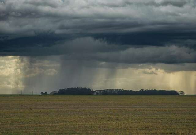 Clima irregular no outono acende alerta para segunda safra de gr&atilde;os em MS