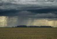 Clima irregular no outono acende alerta para segunda safra de gr&atilde;os em MS