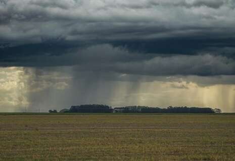 Clima irregular no outono acende alerta para segunda safra de gr&atilde;os em MS