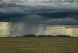 Clima irregular no outono acende alerta para segunda safra de grãos em MS Clima irregular no outono acende alerta para segunda safra de grãos em MS