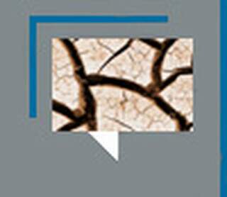 Bombas do Ir&atilde; em pa&iacute;ses mu&ccedil;ulmanos, uma guerra de 1.400 anos