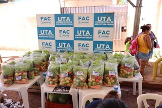 Mutir&atilde;o distribuiu mudas de plantas e cestas de verduras no Parque do Lageado
