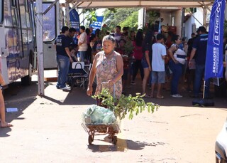 Mutir&atilde;o distribuiu mudas de plantas e cestas de verduras no Parque do Lageado