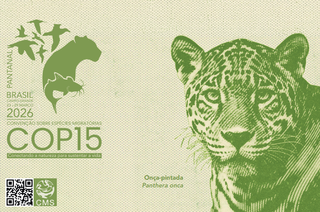 Estudantes de MS trocam cart&otilde;es-postais com delegados internacionais da COP15