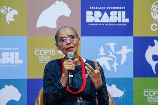 Ministra alerta para risco de desaparecimento do Pantanal at&eacute; o fim do s&eacute;culo