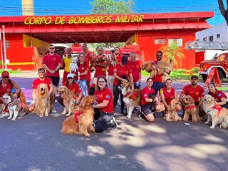 C&atilde;es vestem colete dos bombeiros e d&atilde;o play na miss&atilde;o de fazer o bem