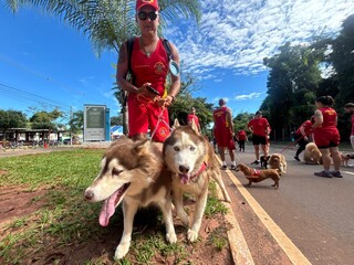 C&atilde;es vestem colete dos bombeiros e d&atilde;o play na miss&atilde;o de fazer o bem