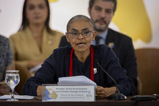 Marina defende &ldquo;ponto de virada&rdquo; global na prote&ccedil;&atilde;o de esp&eacute;cies migrat&oacute;rias