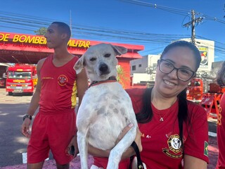 C&atilde;es vestem colete dos bombeiros e d&atilde;o play na miss&atilde;o de fazer o bem