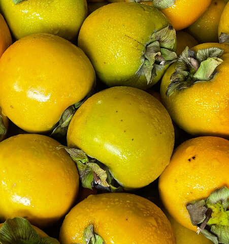 Ceasa lista frutas e hortali&ccedil;as com maior custo-benef&iacute;cio durante o outono