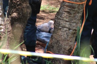 Grupo de rapel encontra corpo de homem com sinais de viol&ecirc;ncia